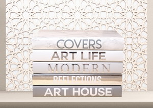 5 Book SET , Silver & grey  Decorative fashion Books  - Art life , modern , art house ...