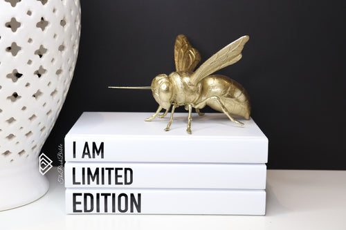 I am Limited edition , CUsTOM handmade BOOKS,  made to order , decorative books with blank pages , personalised  bespoke books unique gift decor , memory books , custom journals , stylish  Unique office decor , Handmade office decor , Colorful Handmade home decor , Customizable books , 